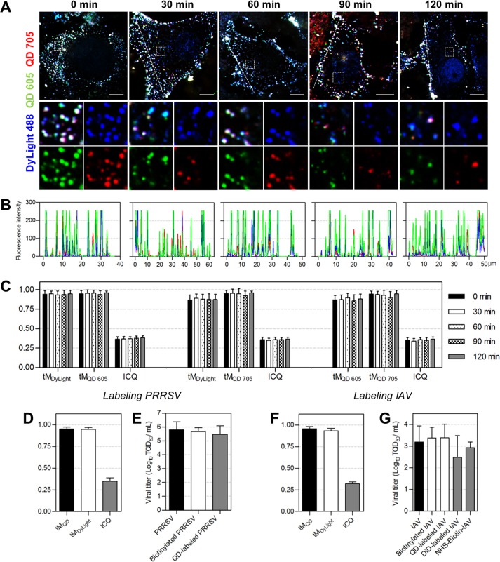 FIG 3