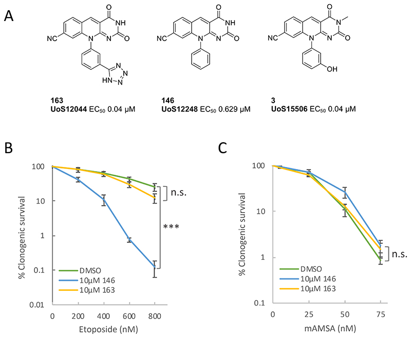 Fig.1