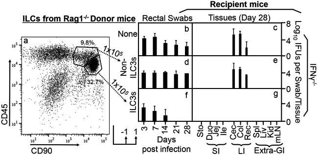 FIG 6