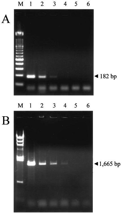 FIG. 1.