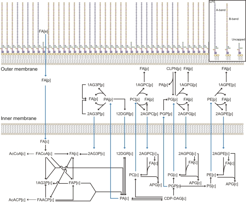 Figure 1: