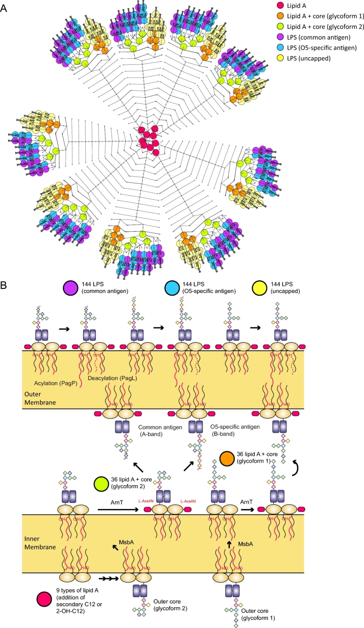 Figure 2: