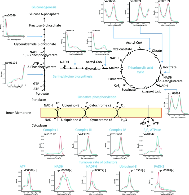 Figure 6: