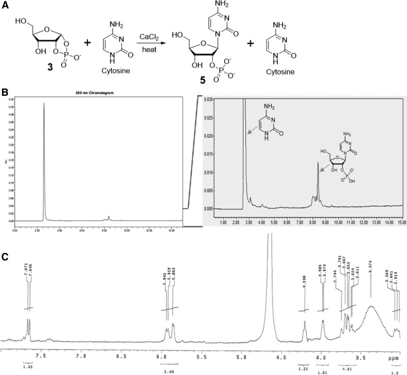 FIG. 2.