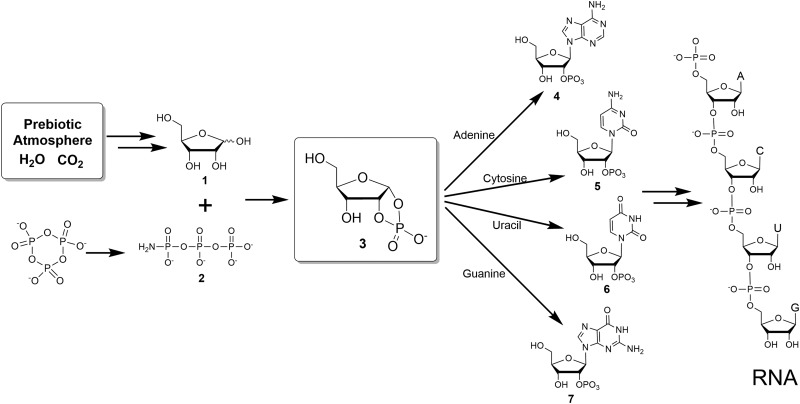 FIG. 1.