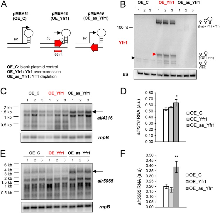 FIG 3