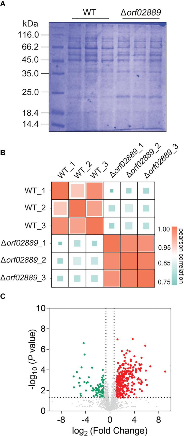 Figure 2