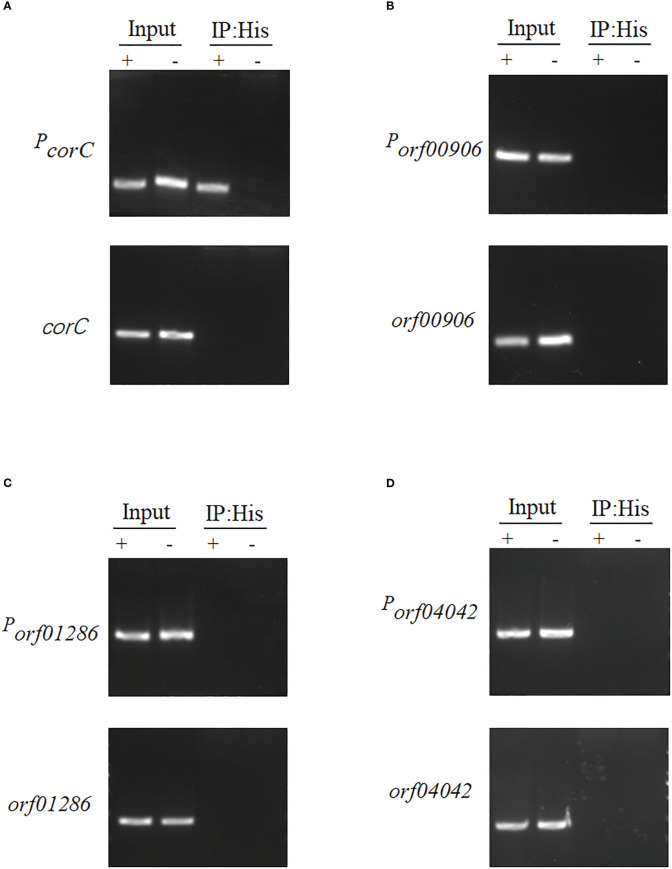 Figure 7