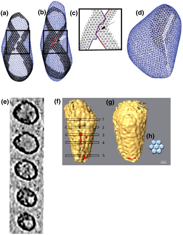 Fig. 4