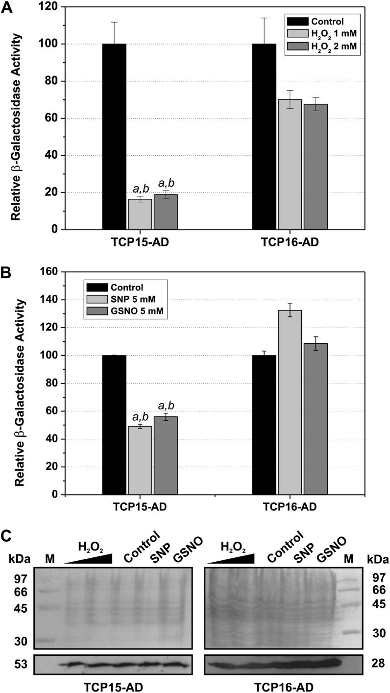 Figure 7.