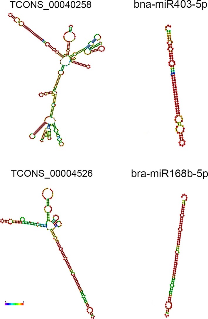 Figure 14