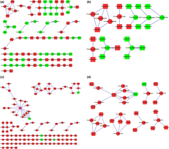 Figure 11