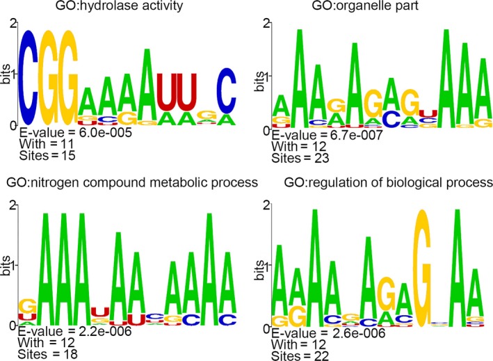 Figure 12