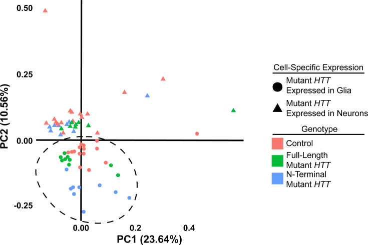 Figure 1—figure supplement 1.