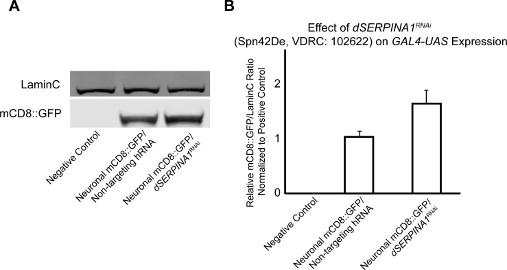 Figure 6—figure supplement 1.