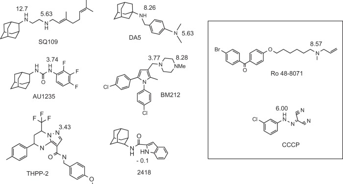 FIG 1