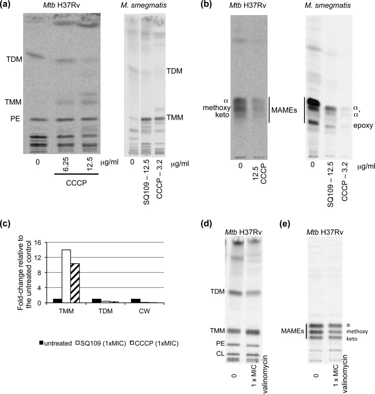 FIG 3