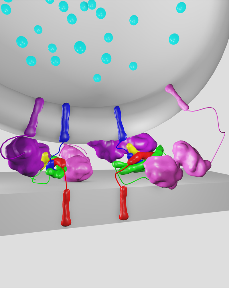 Figure 7.