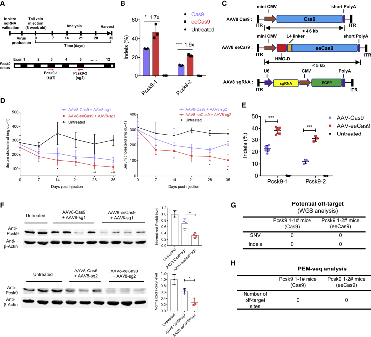 Figure 6