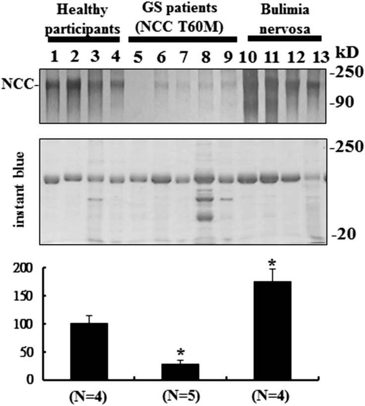 Figure 5.