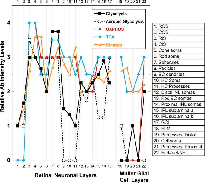 Figure 16