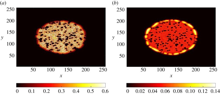 Figure 6.