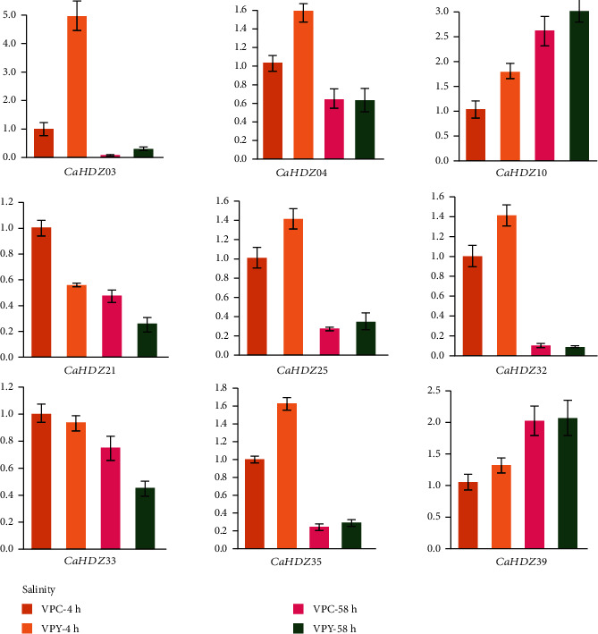 Figure 6