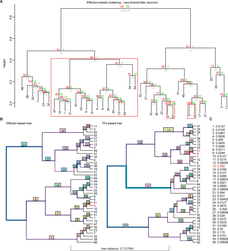 Figure 3—figure supplement 1.