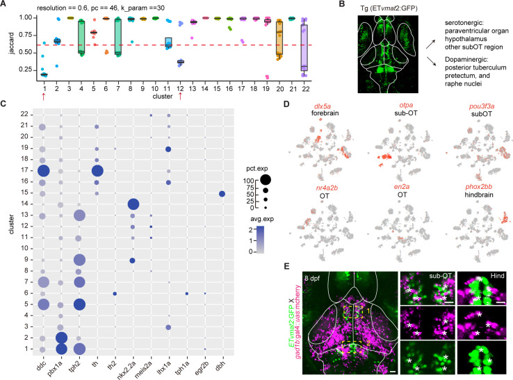 Figure 2—figure supplement 1.