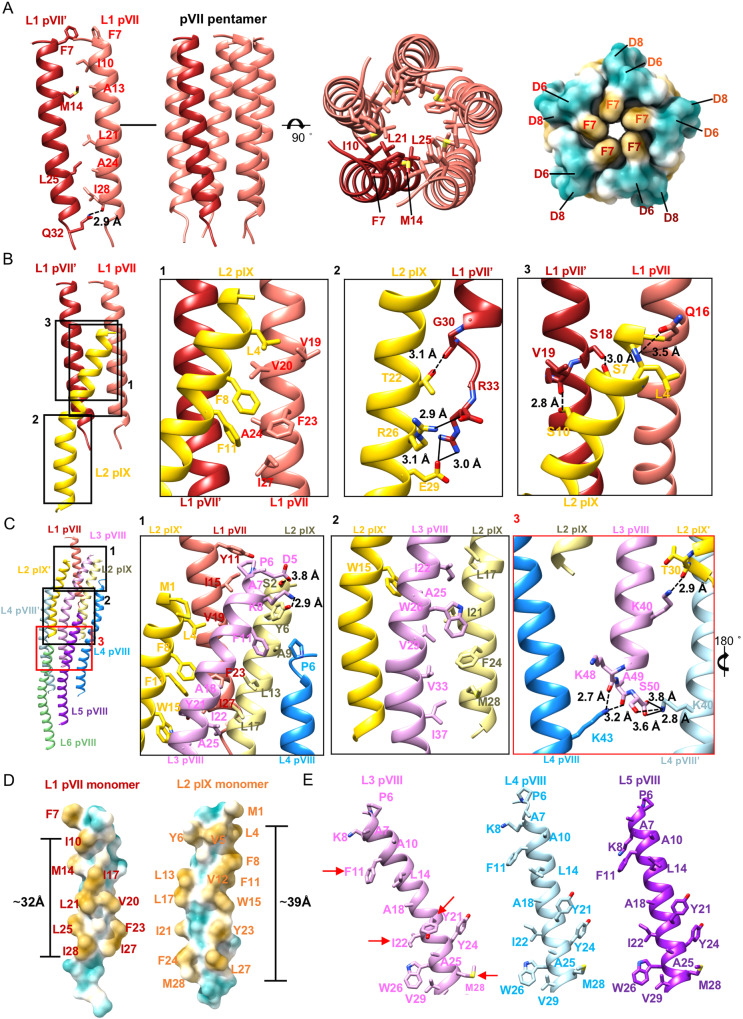 Fig. 2