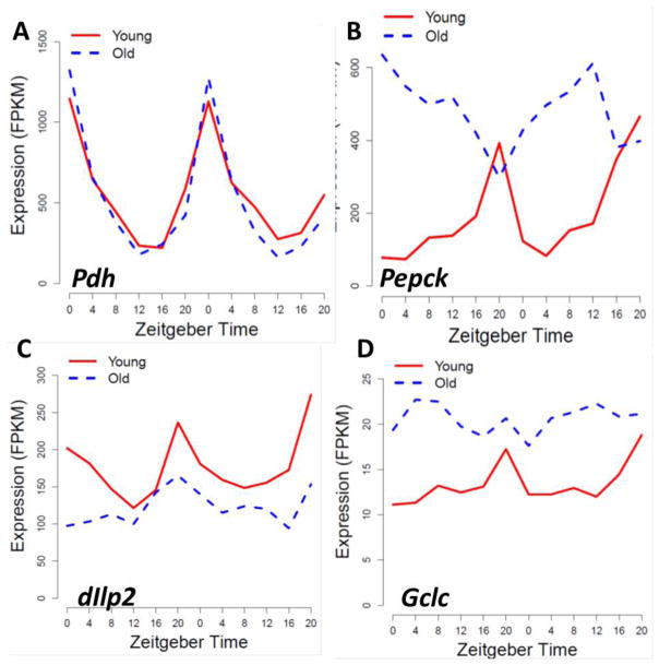 Fig. 2