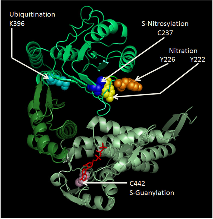 FIGURE 1