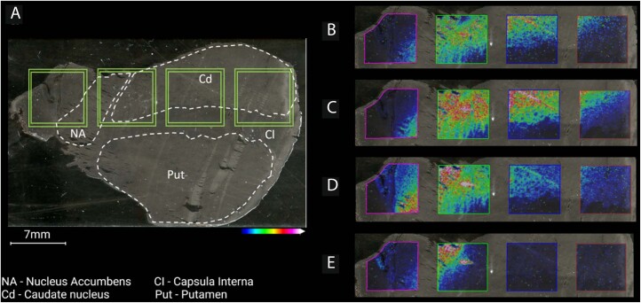 Extended Data Fig. 8