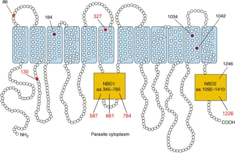 FIG. 1.