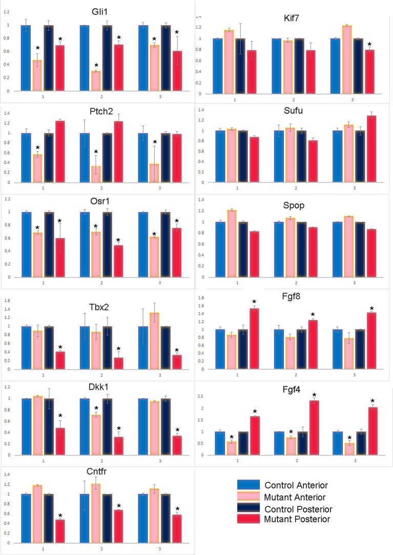 Figure 3—figure supplement 4.