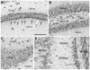 Figure 26