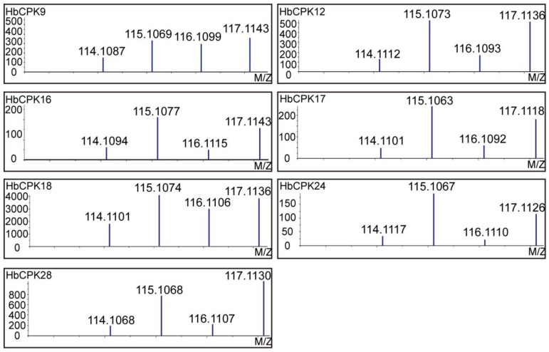 Figure 6