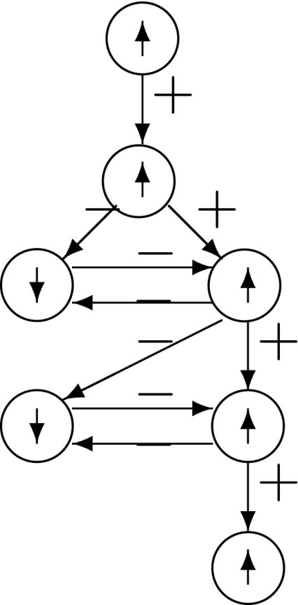 Fig. 20