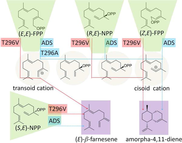 Scheme 2