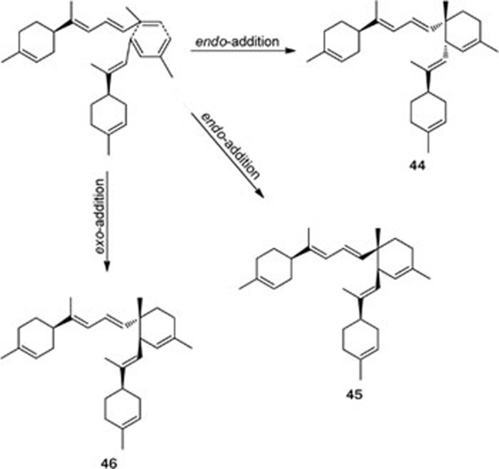 Scheme 3