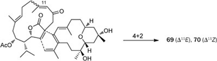 Scheme 4