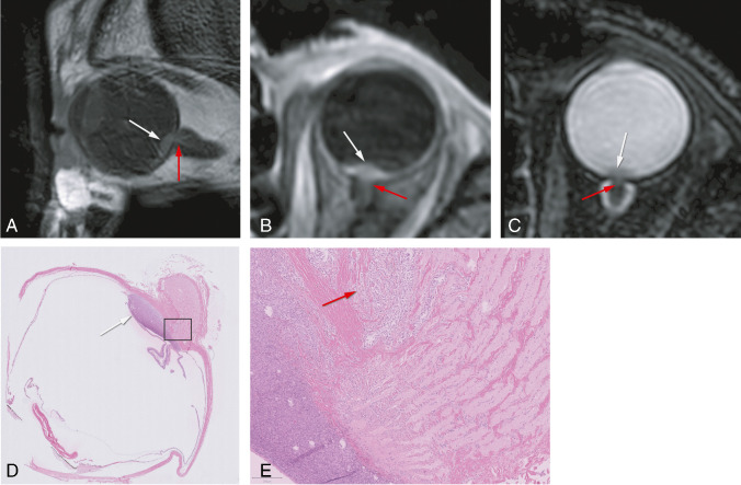 Fig. 8