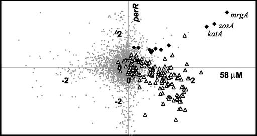 FIG. 5.