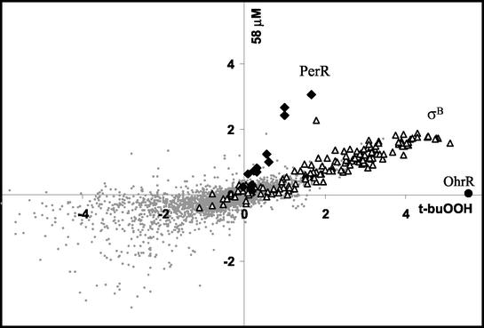 FIG. 7.