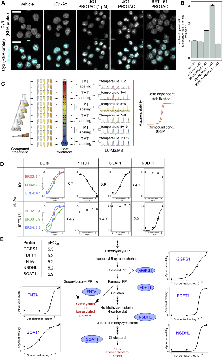 Figure 3