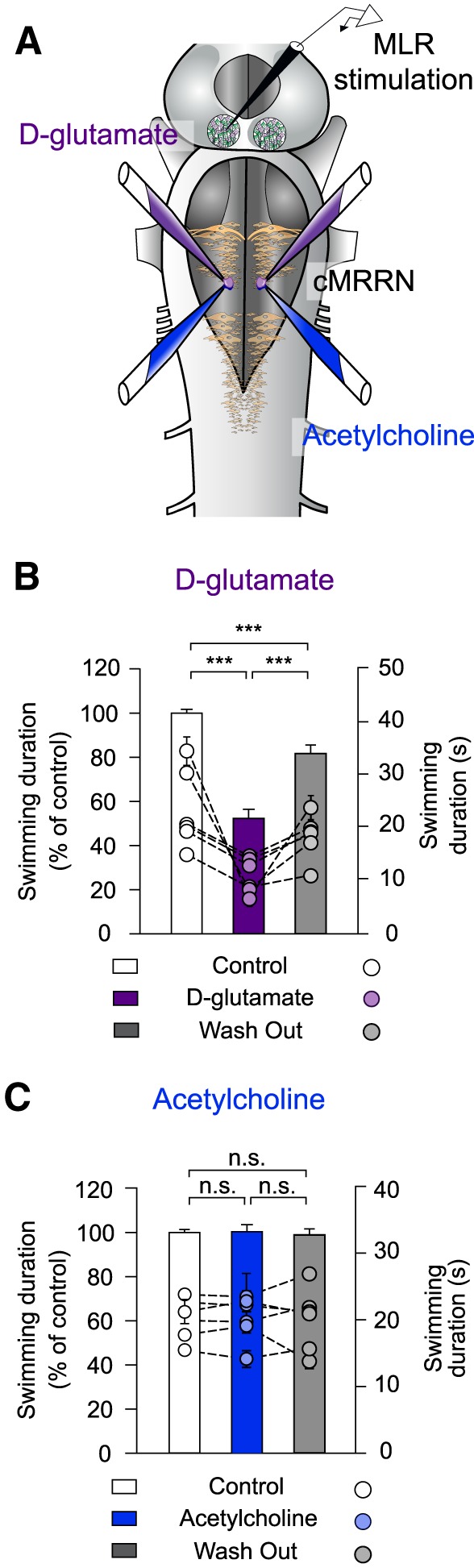 Figure 9.