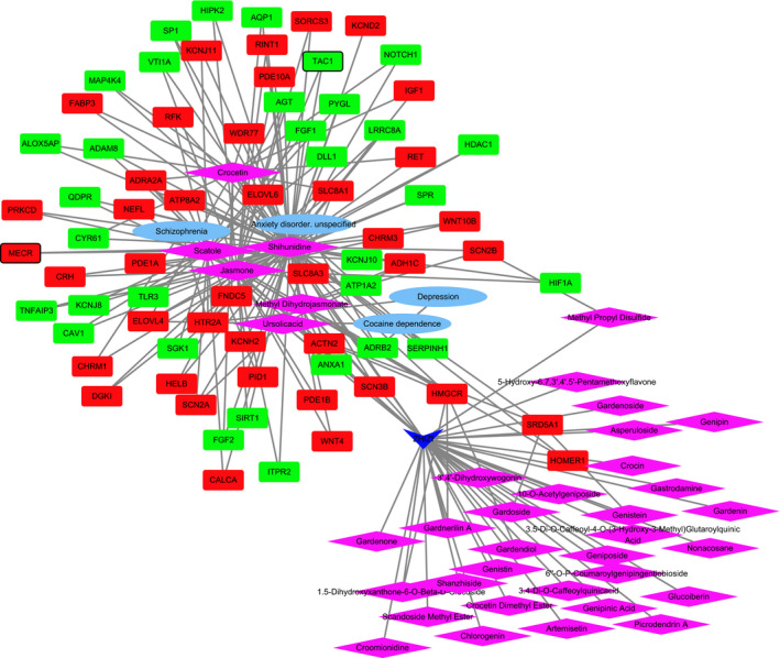 FIGURE 7