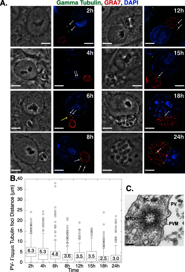 FIGURE 3: