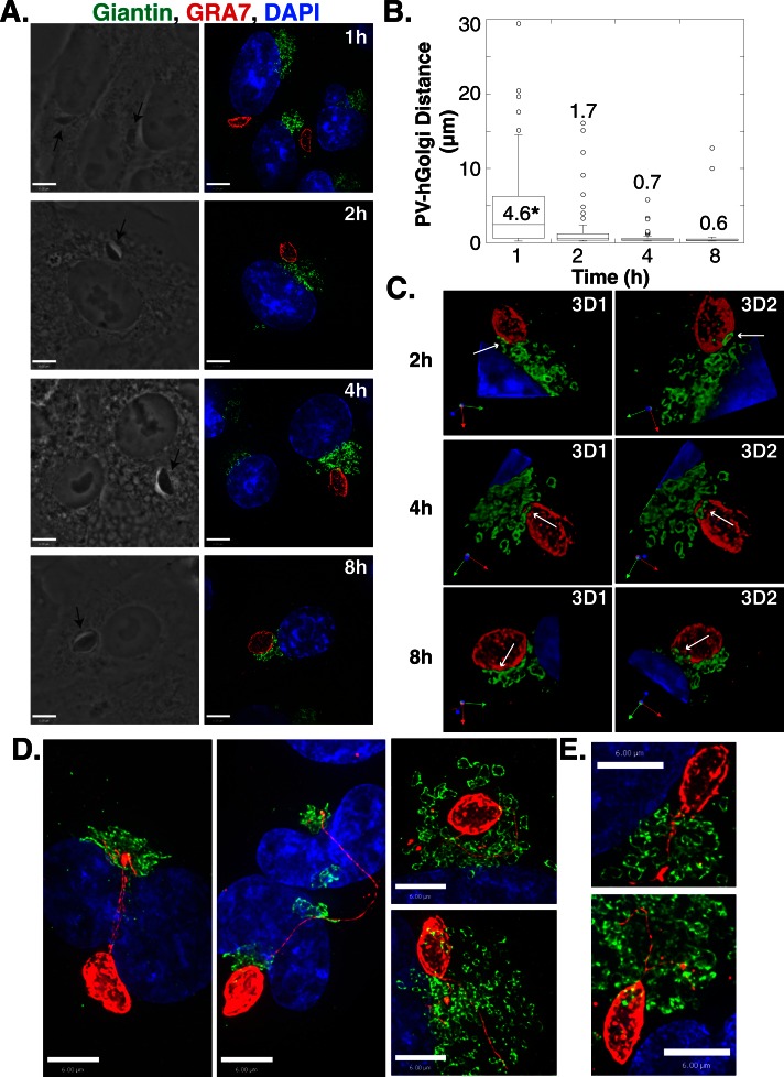 FIGURE 2: