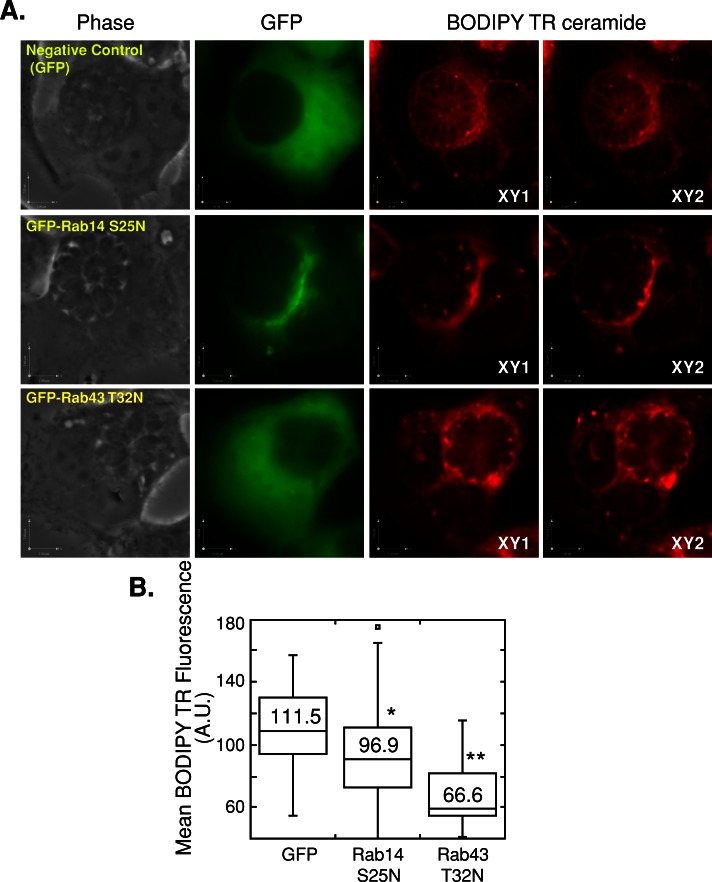 FIGURE 12: